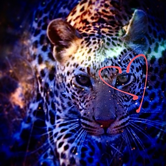 red_tira